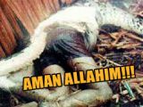 AMAN ALLAHIM!